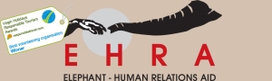 EHRA Virgin Awards Logo Blog